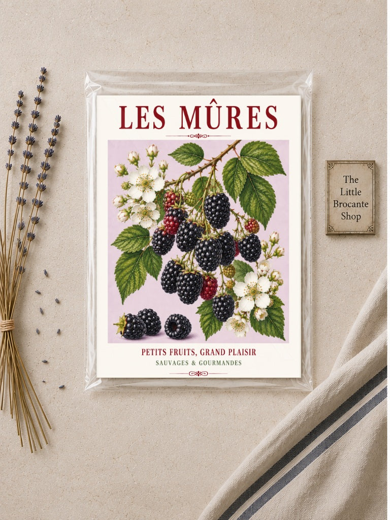 Les Mûres – Illustrated French Blackberry Print | French Kitchen Wall Art, Illustrated French, Botanical, French Country, Fruit Illustration, Hedgerow Inspired, Country Kitchen, Cottage Style, French Countryside wall artwork.