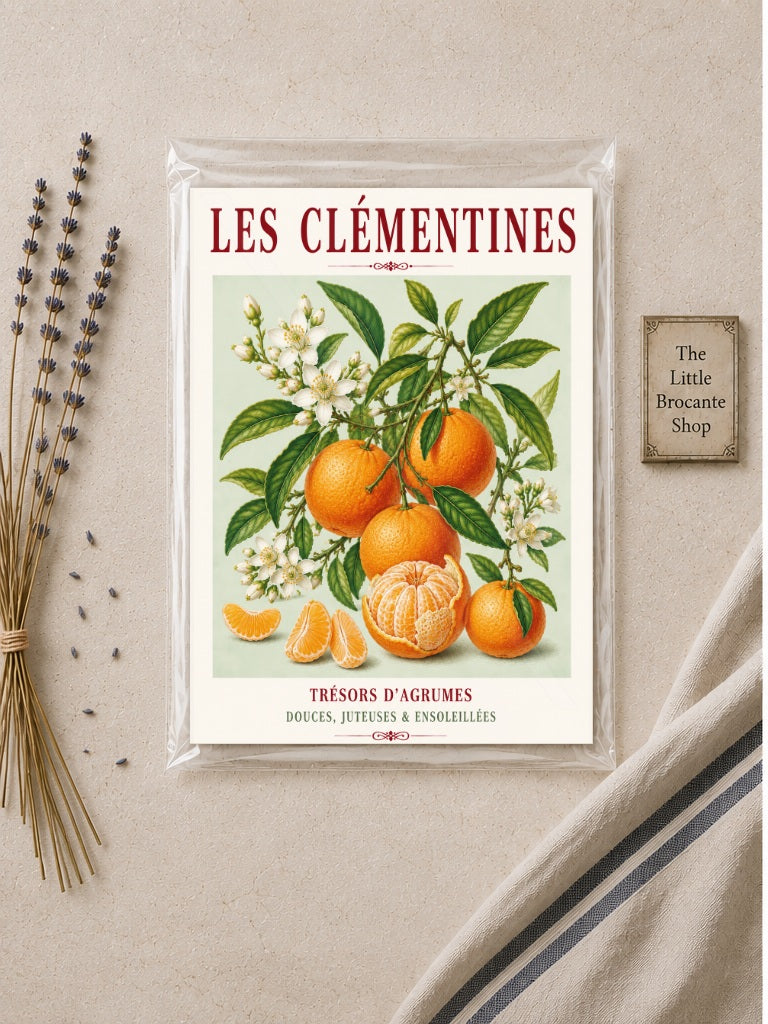 Illustrated French Clementine Print | French Kitchen Wall Art, Illustrated French, Botanical, Mediterranean, French Country, Citrus Illustration, Fruit Illustration, Country Kitchen, French Countryside, Botanical Wall Art wall artwork.