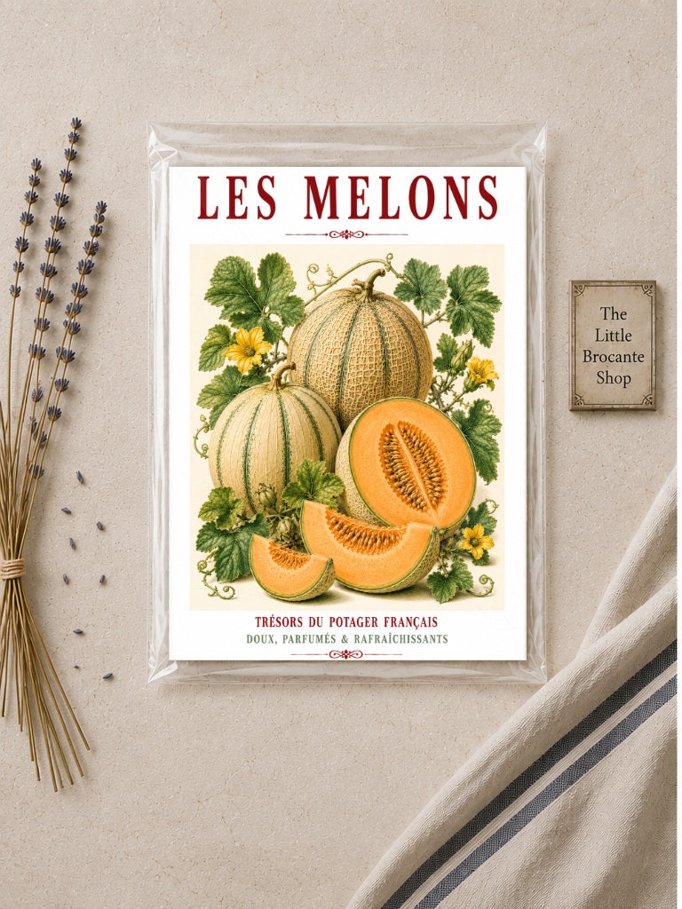 Illustrated French Melon Print | French Kitchen Wall Art, Illustrated French, Botanical, French Country, Provençal, Fruit Illustration, Kitchen Garden, French Kitchen, Mediterranean, Country Kitchen, Botanical Wall Art wall artwork.