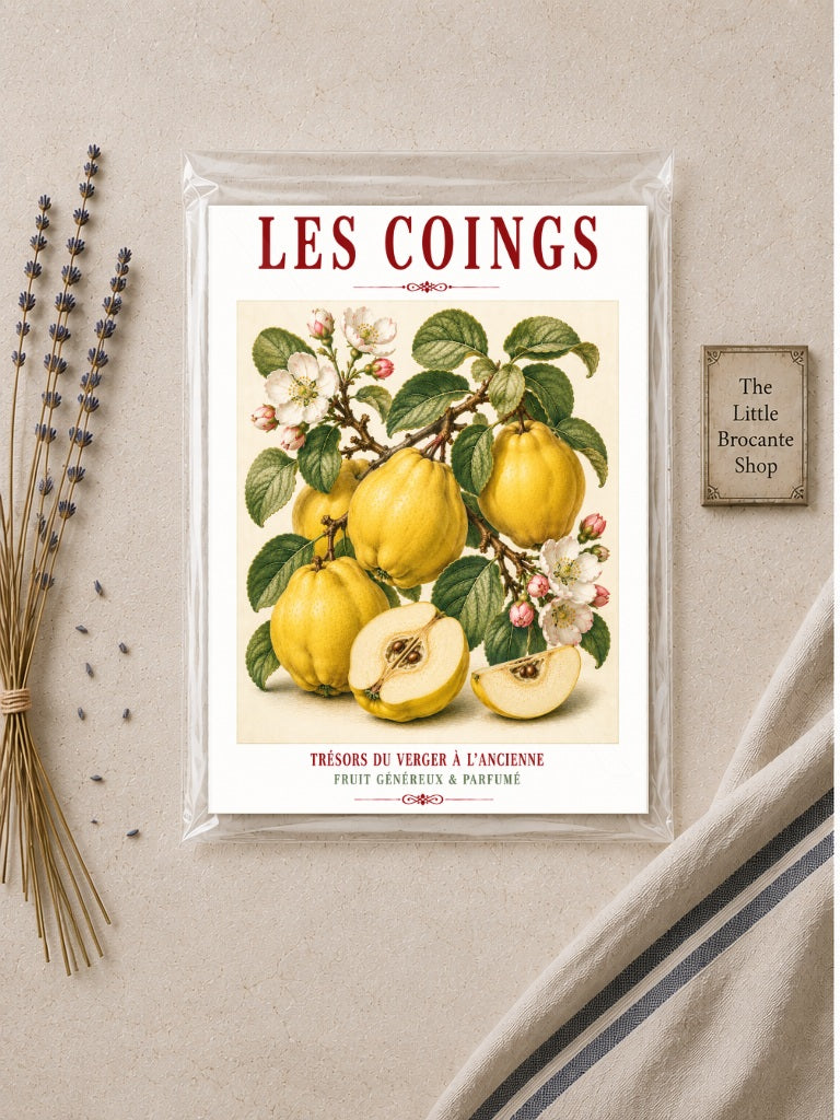 Illustrated French Quince Print - Led Coigns | French Kitchen Wall Art, Illustrated French, Botanical, French Country, Orchard Illustration, Fruit Illustration, Country Kitchen, French Countryside, Cottage Style, Botanical Wall Art wall artwork.