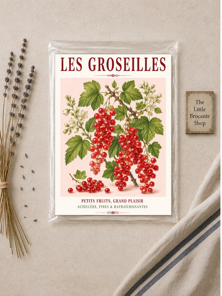 Illustrated French Redcurrant Print | French Kitchen Wall Art, Illustrated French, Botanical, French Country, Berry Illustration, Fruit Illustration, Country Kitchen, French Countryside, Cottage Style, Botanical Wall Art wall artwork.
