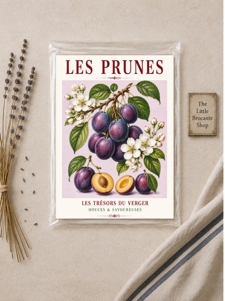 Illustrated French Plum Print - Les Prunes | French Kitchen Wall Art, Illustrated French, Botanical, French Country, Fruit Illustration, Orchard Inspired, Country Kitchen, Cottage Style, French Inspired wall artwork.