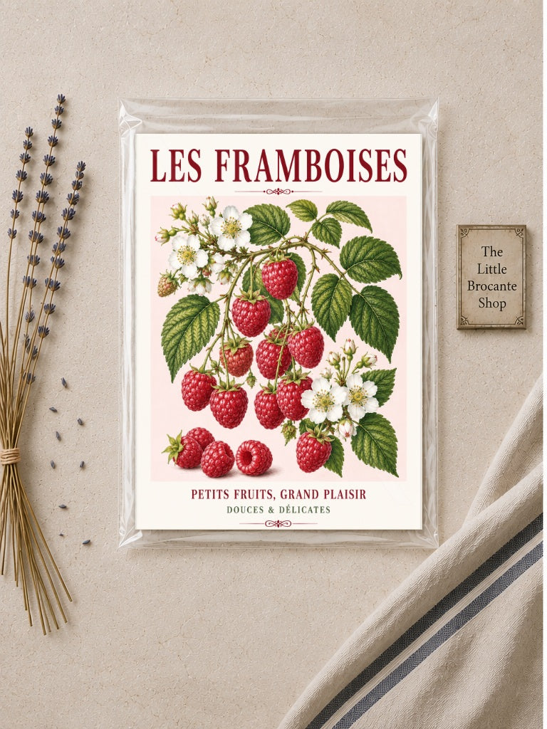 Les Framboises – Illustrated French Raspberry Print | French Kitchen Wall Art, Illustrated French, Botanical, French Country, Fruit Illustration, Kitchen Garden, Country Kitchen, Cottage Style, French Inspired wall artwork.