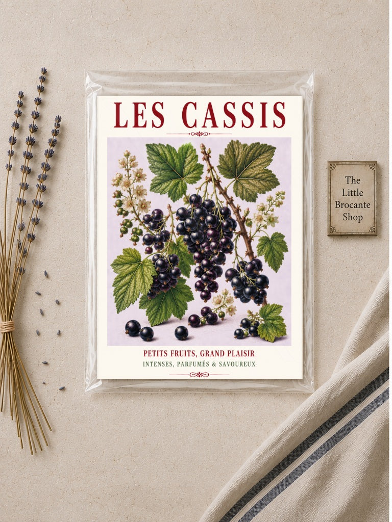 Illustrated French Blackcurrant Print - Les Cassis | French Kitchen Wall Art, Illustrated French, Botanical, French Country, Berry Illustration, Fruit Illustration, Country Kitchen, French Countryside, Cottage Style, Botanical Wall Art wall artwork.