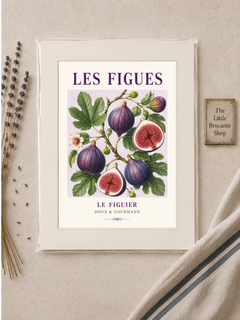 Les Figues – Illustrated French Fig Print | French Kitchen Wall Art, Illustrated French, Botanical, French Country, Mediterranean, Provençal, Fruit Illustration, Country Kitchen, Cottage Style wall artwork.