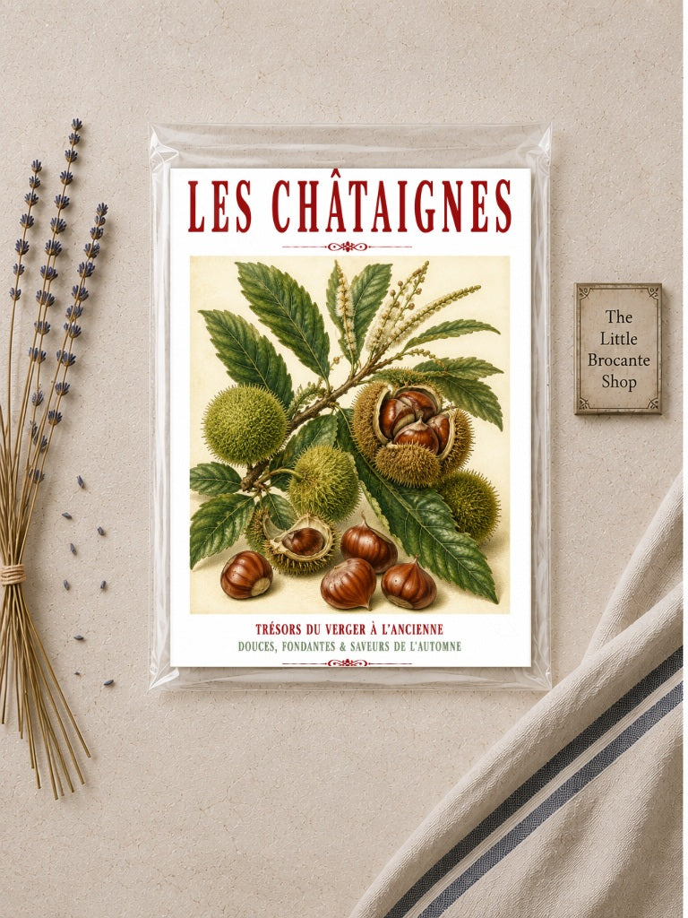 Illustrated French Chestnut Print | French Kitchen Wall Art, Illustrated French, Botanical, French Country, Rustic, Autumnal, Woodland Botanical, Traditional Botanical Illustration, French Kitchen, Country Kitchen, Cottage Style wall artwork.