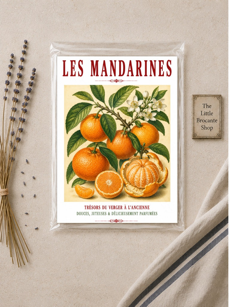 Illustrated French Mandarin Print | French Kitchen Wall Art, Illustrated French, Botanical, French Country, Mediterranean, Citrus Illustration, French Kitchen, Country Kitchen, Cottage Style, Botanical Wall Art wall artwork.