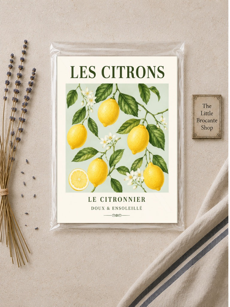 Les Citrons – Illustrated French Lemon Print | French Kitchen Wall Art, Illustrated French, Botanical, French Country, Country Kitchen, Mediterranean, Fruit Illustration, Cottage Style wall artwork.