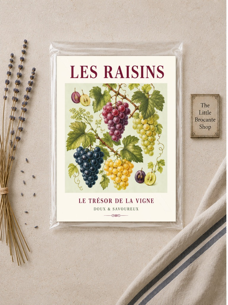 Les Raisins – Illustrated French Grape Print | French Kitchen Wall Art, Illustrated French, Botanical, French Country, Vineyard Inspired, Fruit Illustration, Country Kitchen, European Kitchen, Rustic Country wall artwork.
