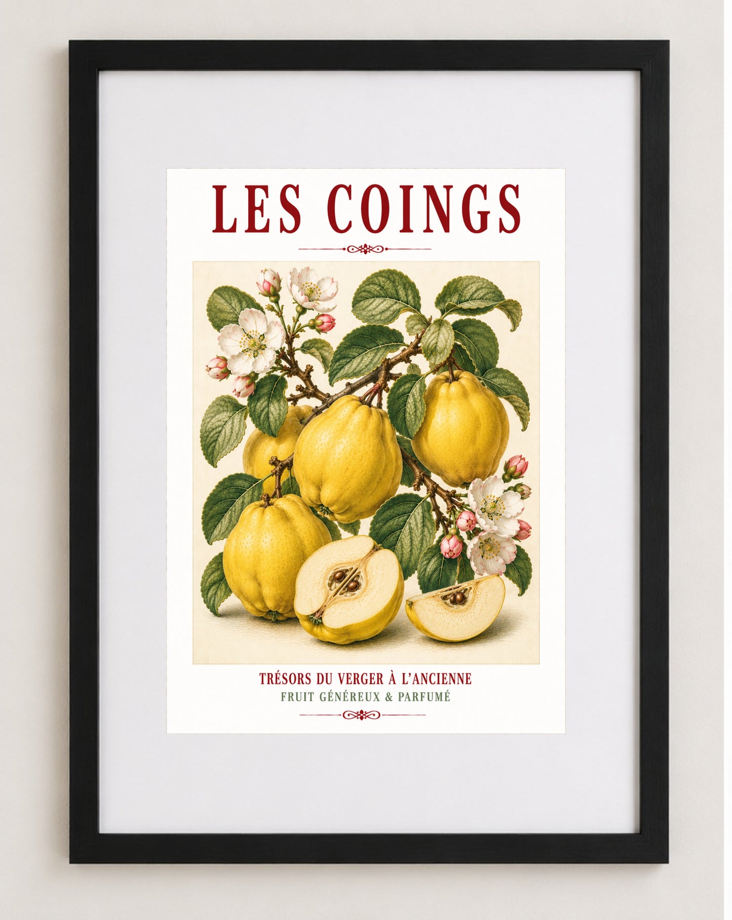 Illustrated French Quince Print - Led Coigns | French Kitchen Wall Art, Illustrated French, Botanical, French Country, Orchard Illustration, Fruit Illustration, Country Kitchen, French Countryside, Cottage Style, Botanical Wall Art wall artwork.
