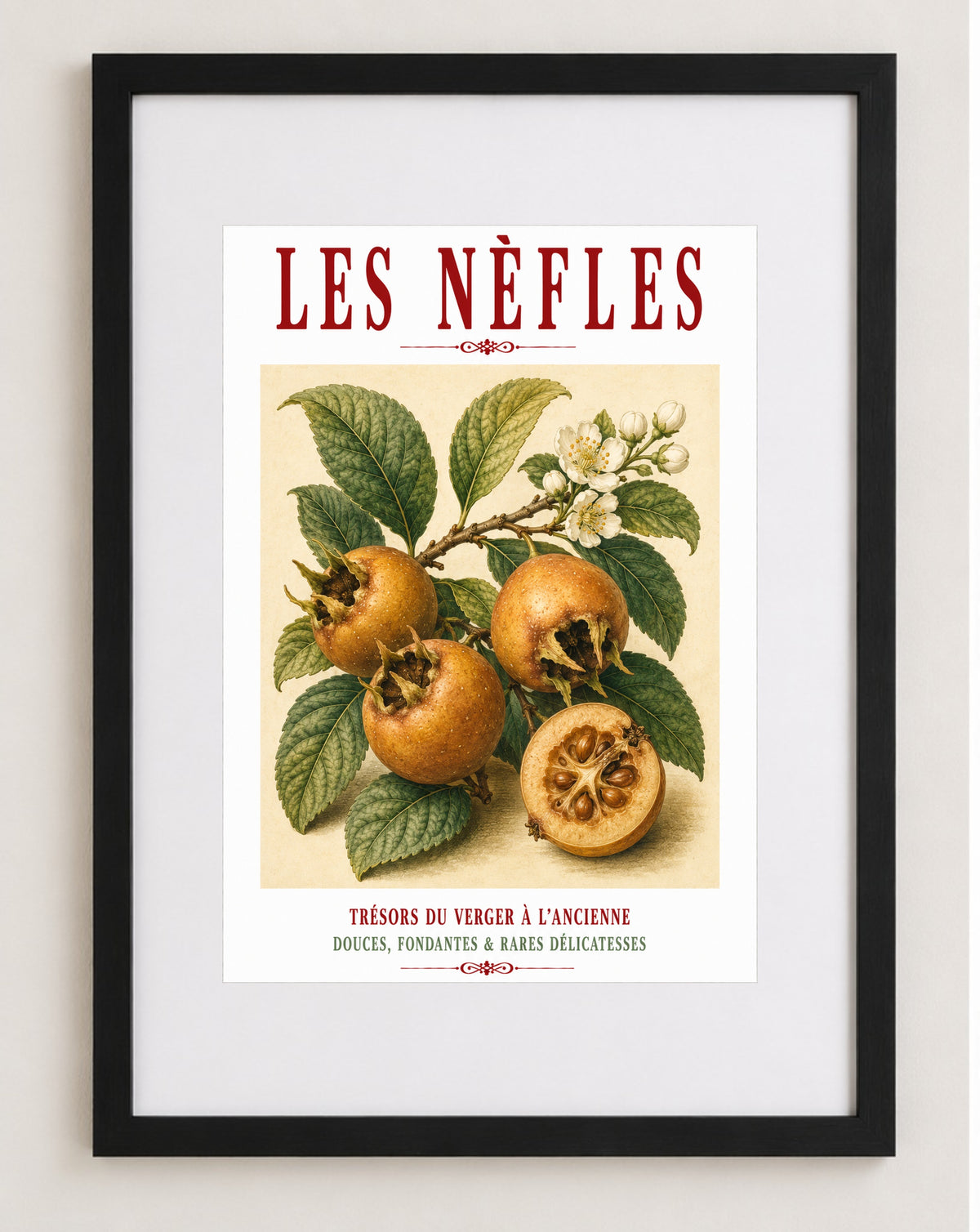 Illustrated French Medlar Print | French Kitchen Wall Art, Illustrated French, Botanical, French Country, Heritage Fruit, Orchard Inspired, French Kitchen, Country Kitchen, Cottage Style, Traditional Botanical, Rustic Wall Art wall artwork.