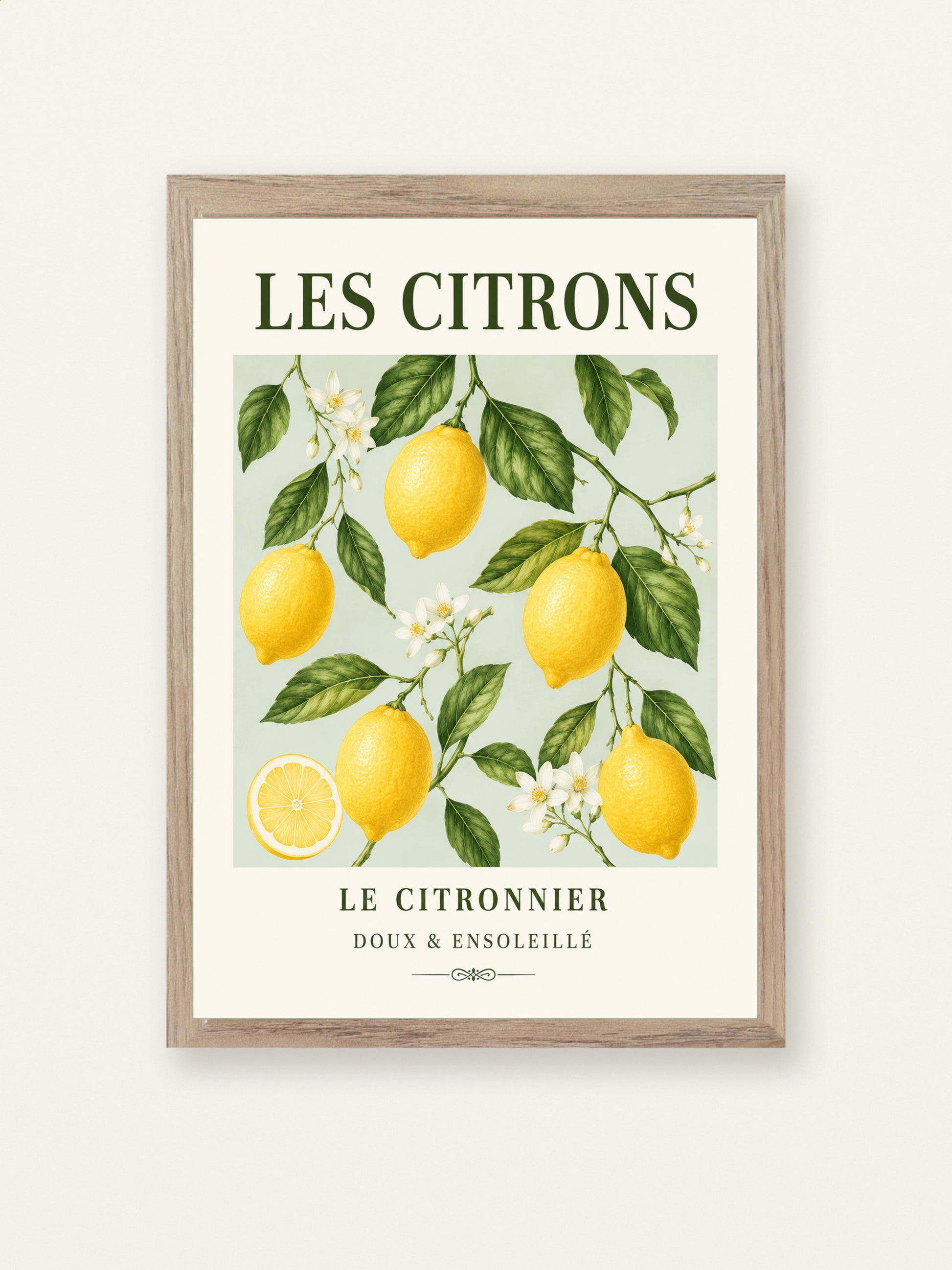 Les Citrons – Illustrated French Lemon Print | French Kitchen Wall Art, Illustrated French, Botanical, French Country, Country Kitchen, Mediterranean, Fruit Illustration, Cottage Style wall artwork.