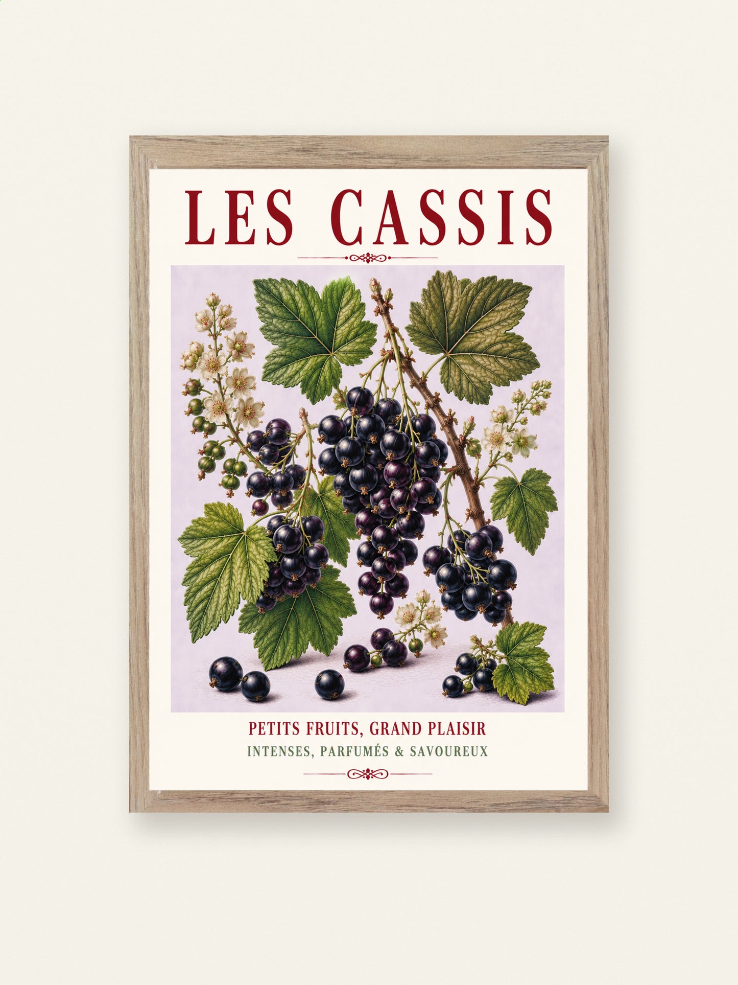 Illustrated French Blackcurrant Print - Les Cassis | French Kitchen Wall Art, Illustrated French, Botanical, French Country, Berry Illustration, Fruit Illustration, Country Kitchen, French Countryside, Cottage Style, Botanical Wall Art wall artwork.