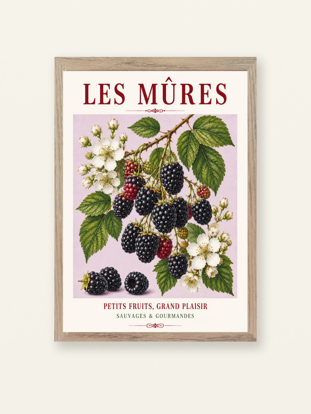 Les Mûres – Illustrated French Blackberry Print | French Kitchen Wall Art, Illustrated French, Botanical, French Country, Fruit Illustration, Hedgerow Inspired, Country Kitchen, Cottage Style, French Countryside wall artwork.