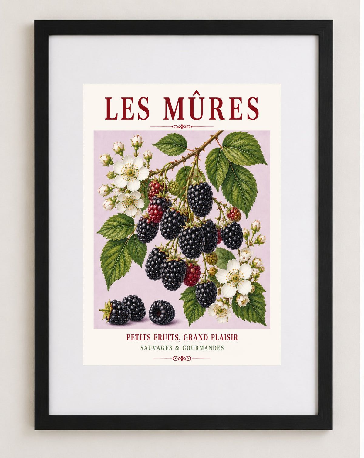 Les Mûres – Illustrated French Blackberry Print | French Kitchen Wall Art, Illustrated French, Botanical, French Country, Fruit Illustration, Hedgerow Inspired, Country Kitchen, Cottage Style, French Countryside wall artwork.