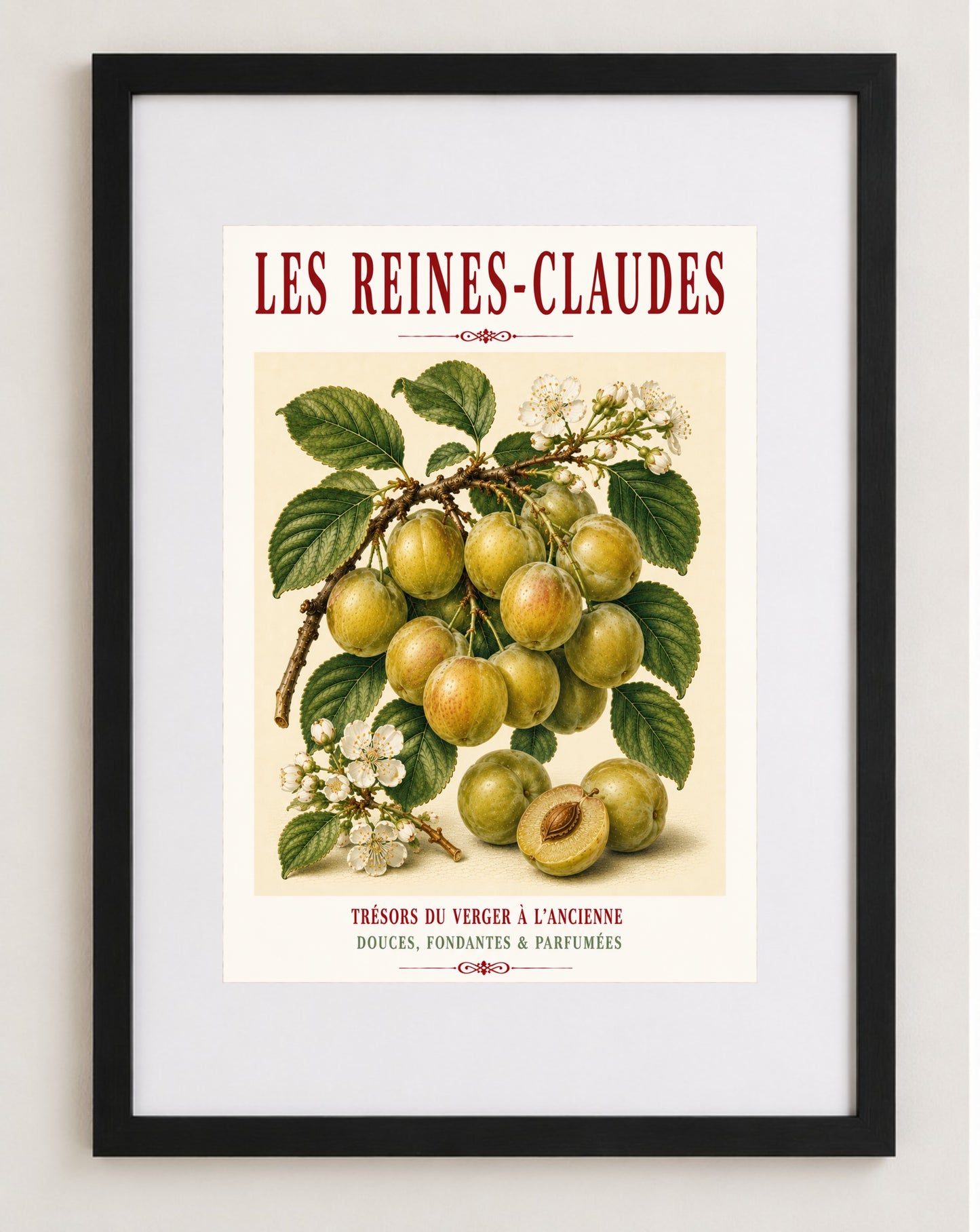 Les Reines-Claudes – Illustrated French Greengage Print | French Kitchen Wall Art, Illustrated French, Botanical, French Country, Orchard Inspired, Fruit Illustration, French Kitchen, Country Kitchen, Cottage Style, Botanical Wall Art wall artwork.