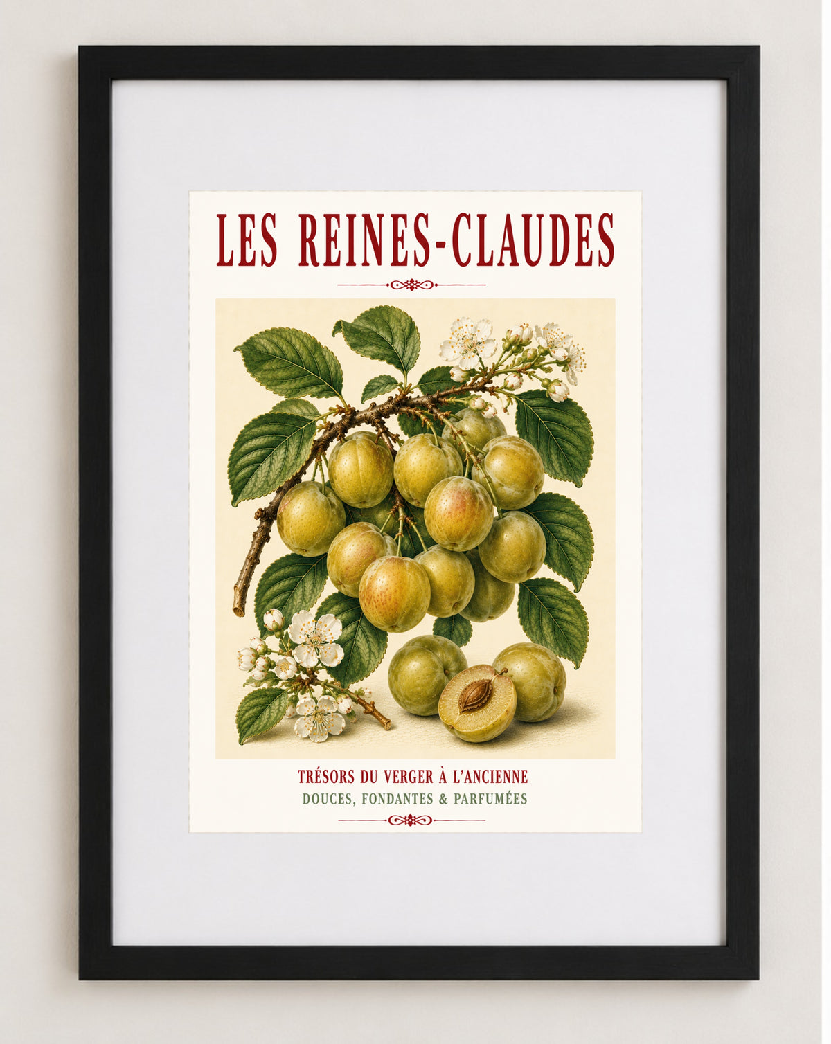 Les Reines-Claudes – Illustrated French Greengage Print | French Kitchen Wall Art, Illustrated French, Botanical, French Country, Orchard Inspired, Fruit Illustration, French Kitchen, Country Kitchen, Cottage Style, Botanical Wall Art wall artwork.