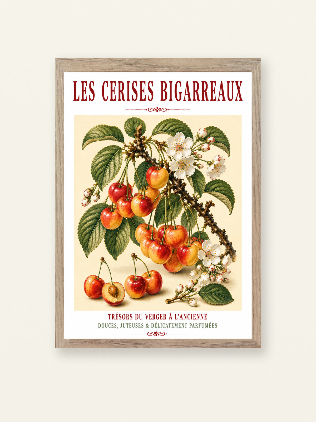 Les Cerises Bigarreaux – Illustrated French Cherry Print | French Kitchen Wall Art, Illustrated French, Botanical, French Country, Orchard Art, Fruit Illustration, French Kitchen, Country Kitchen, French Provincial, Botanical Wall Art wall artwork.