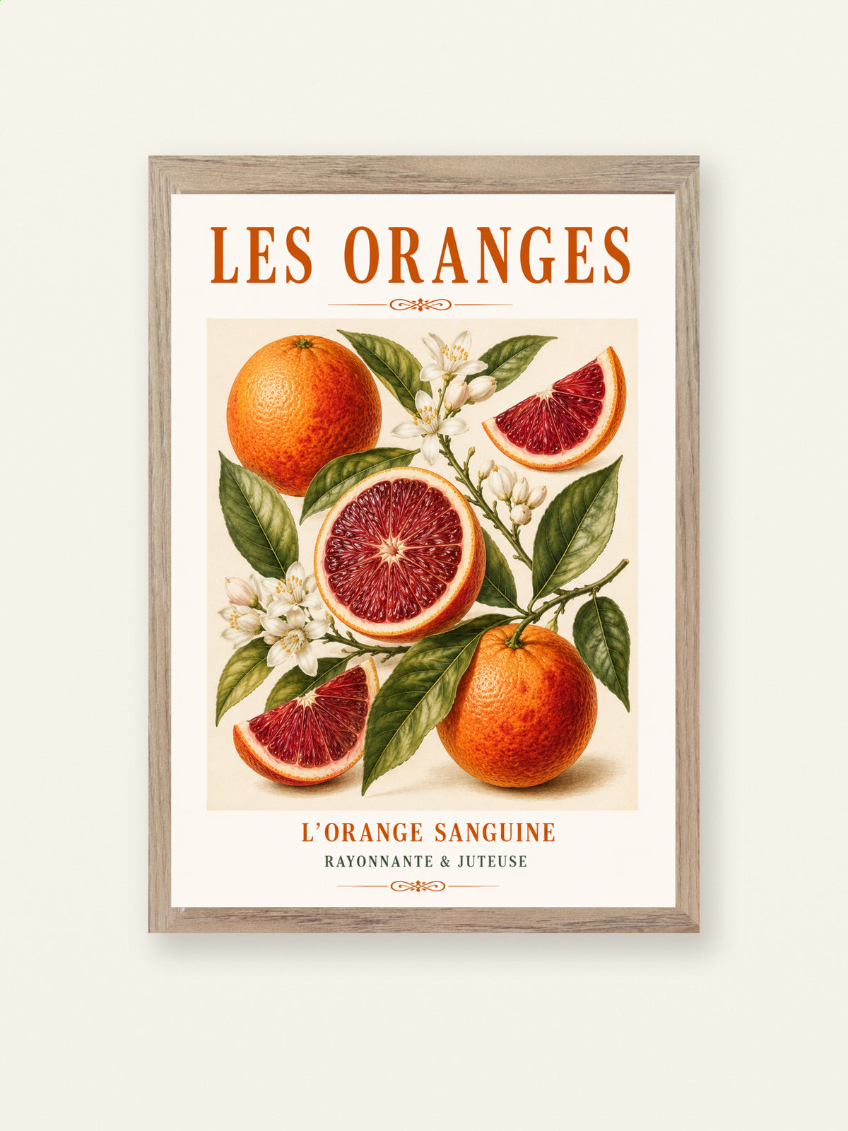 L’Orange Sanguine – Illustrated French Blood Orange Print | French Kitchen Wall Art, Illustrated French, Botanical, French Country, Mediterranean, Country Kitchen, Fruit Illustration, European Kitchen wall artwork.