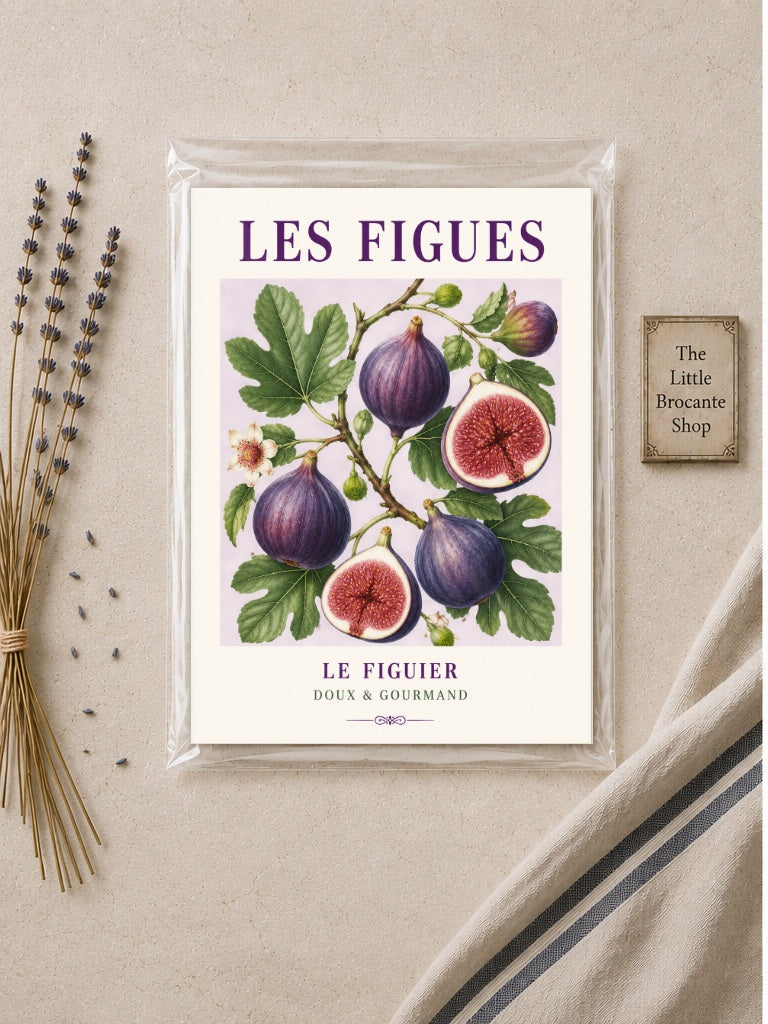 Les Figues – Illustrated French Fig Print | French Kitchen Wall Art, Illustrated French, Botanical, French Country, Mediterranean, Provençal, Fruit Illustration, Country Kitchen, Cottage Style wall artwork.