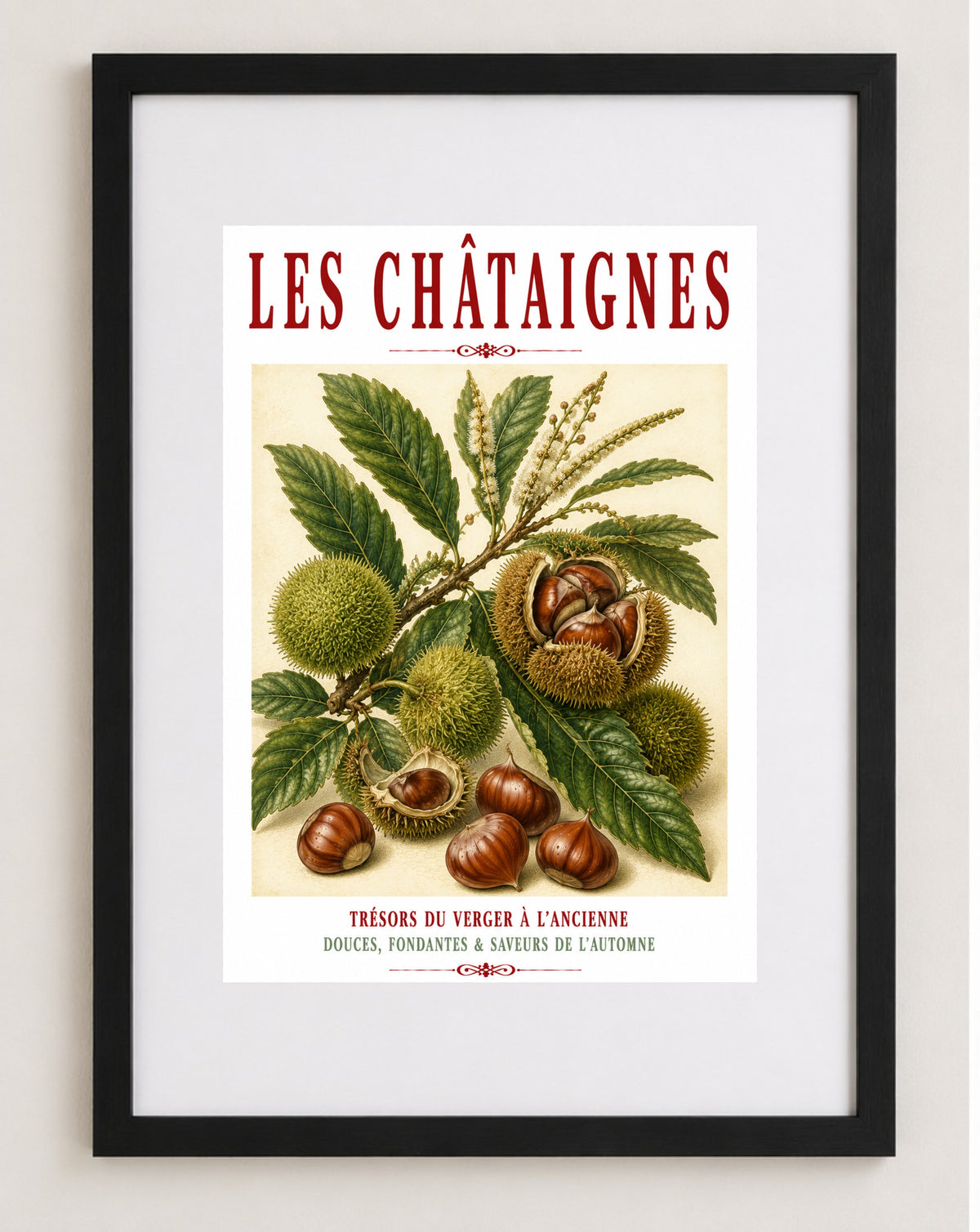 Illustrated French Chestnut Print | French Kitchen Wall Art, Illustrated French, Botanical, French Country, Rustic, Autumnal, Woodland Botanical, Traditional Botanical Illustration, French Kitchen, Country Kitchen, Cottage Style wall artwork.