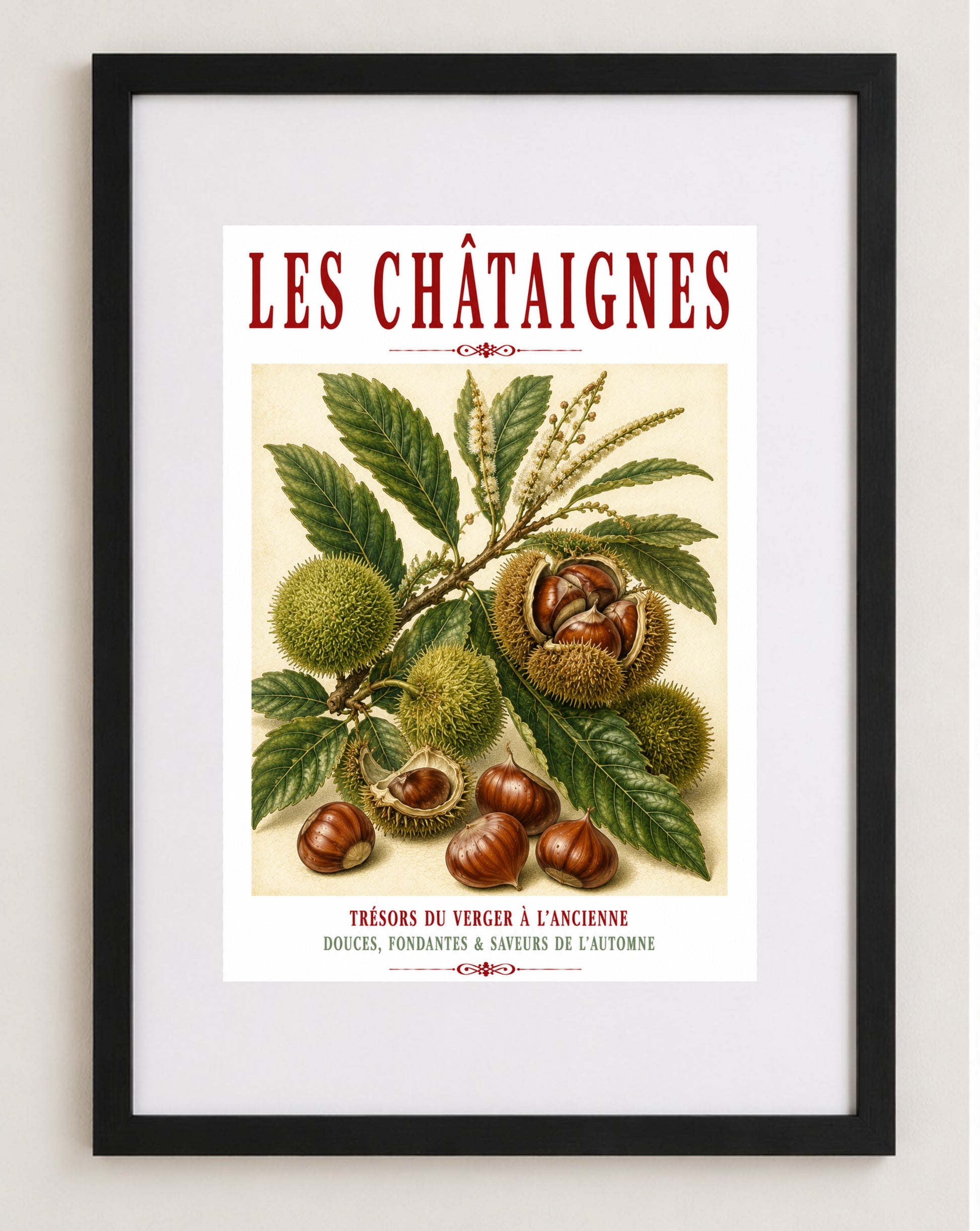 Illustrated French Chestnut Print | French Kitchen Wall Art, Illustrated French, Botanical, French Country, Rustic, Autumnal, Woodland Botanical, Traditional Botanical Illustration, French Kitchen, Country Kitchen, Cottage Style wall artwork.