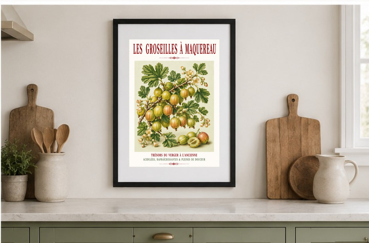 Illustrated French Gooseberry Print | French Kitchen Wall Art, Illustrated French, Botanical, French Country, Kitchen Garden, Fruit Illustration, French Kitchen, Country Kitchen, Cottage Garden, Botanical Wall Art wall artwork.