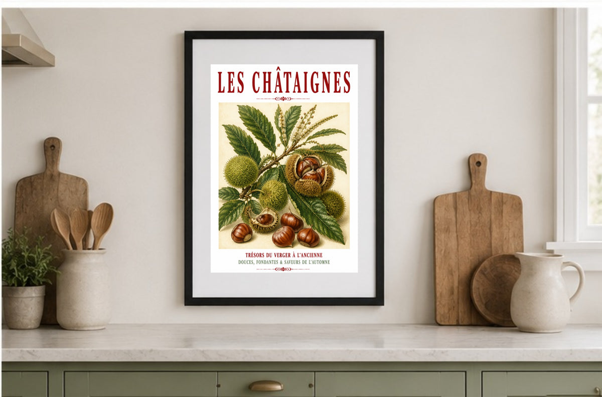 Illustrated French Chestnut Print | French Kitchen Wall Art, Illustrated French, Botanical, French Country, Rustic, Autumnal, Woodland Botanical, Traditional Botanical Illustration, French Kitchen, Country Kitchen, Cottage Style wall artwork.