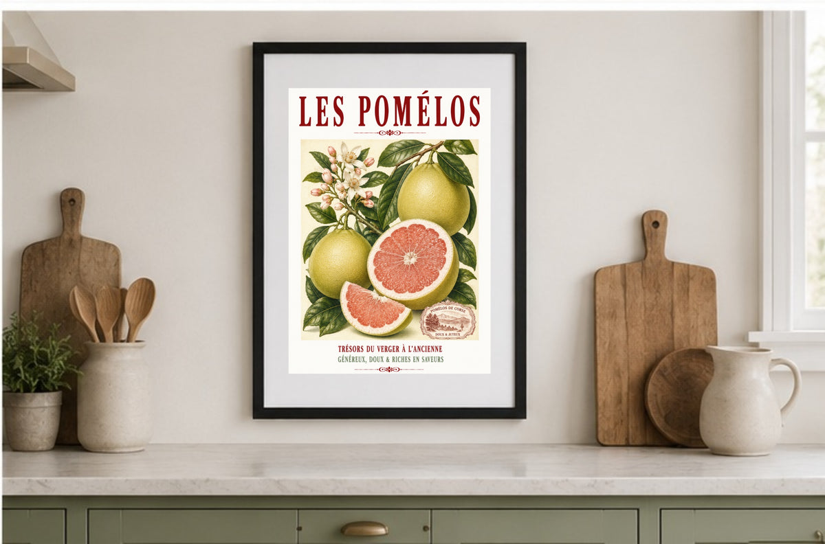 Illustrated French Pomelo Print | French Kitchen Wall Art, Illustrated French, Botanical, French Mediterranean, French Country, Citrus Art, Traditional Botanical Illustration, French Kitchen, Country Kitchen, Mediterranean Style, Pomological Illustration wall artwork.
