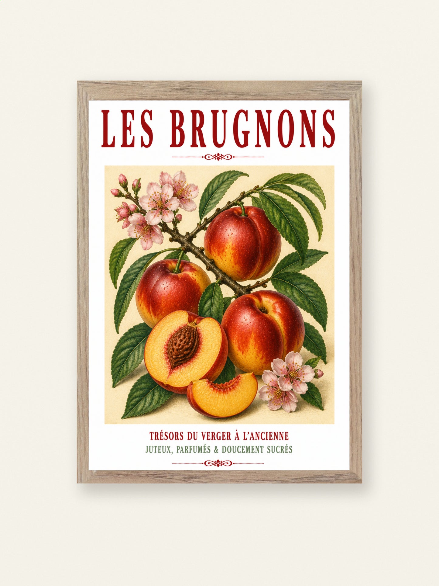 Illustrated French Nectarine Print | French Kitchen Wall Art, Illustrated French, Botanical, French Country, Orchard Style, Traditional Botanical Illustration, French Kitchen, Country Kitchen, Cottage Style, Pomological Art wall artwork.