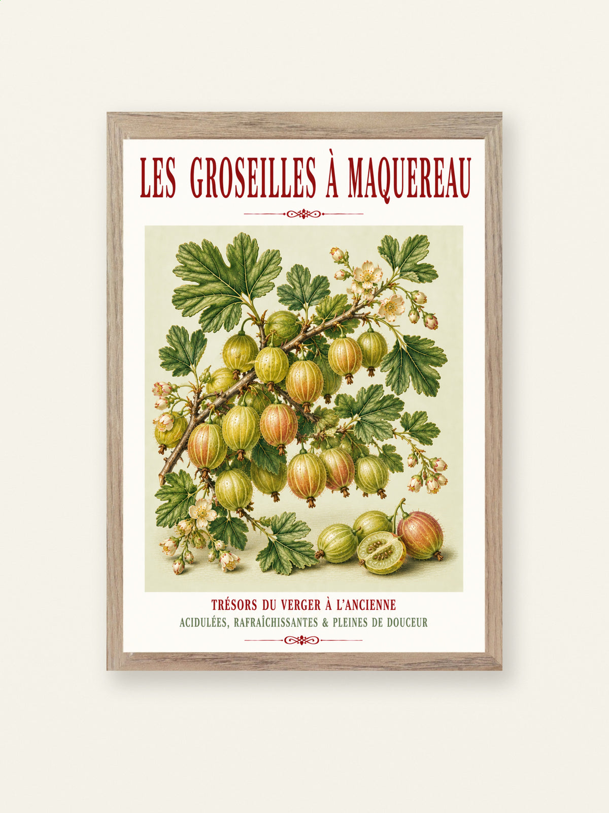 Illustrated French Gooseberry Print | French Kitchen Wall Art, Illustrated French, Botanical, French Country, Kitchen Garden, Fruit Illustration, French Kitchen, Country Kitchen, Cottage Garden, Botanical Wall Art wall artwork.