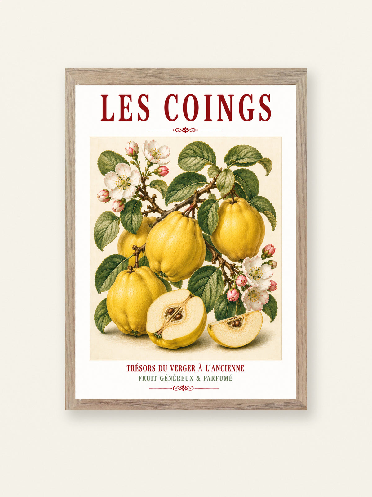 Illustrated French Quince Print - Led Coigns | French Kitchen Wall Art, Illustrated French, Botanical, French Country, Orchard Illustration, Fruit Illustration, Country Kitchen, French Countryside, Cottage Style, Botanical Wall Art wall artwork.