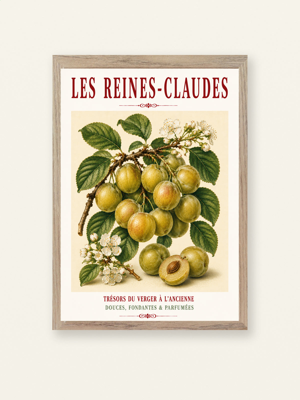 Les Reines-Claudes – Illustrated French Greengage Print | French Kitchen Wall Art, Illustrated French, Botanical, French Country, Orchard Inspired, Fruit Illustration, French Kitchen, Country Kitchen, Cottage Style, Botanical Wall Art wall artwork.