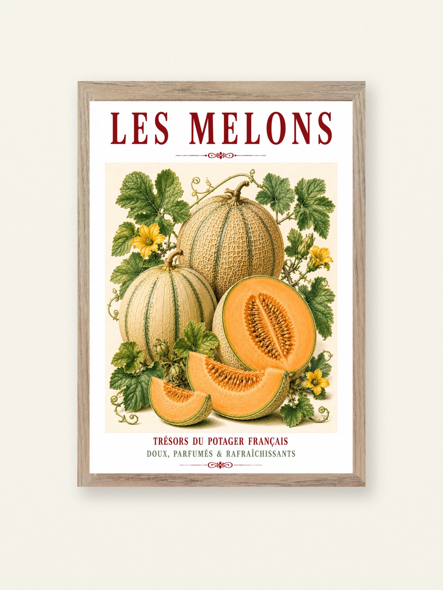 Illustrated French Melon Print | French Kitchen Wall Art, Illustrated French, Botanical, French Country, Provençal, Fruit Illustration, Kitchen Garden, French Kitchen, Mediterranean, Country Kitchen, Botanical Wall Art wall artwork.