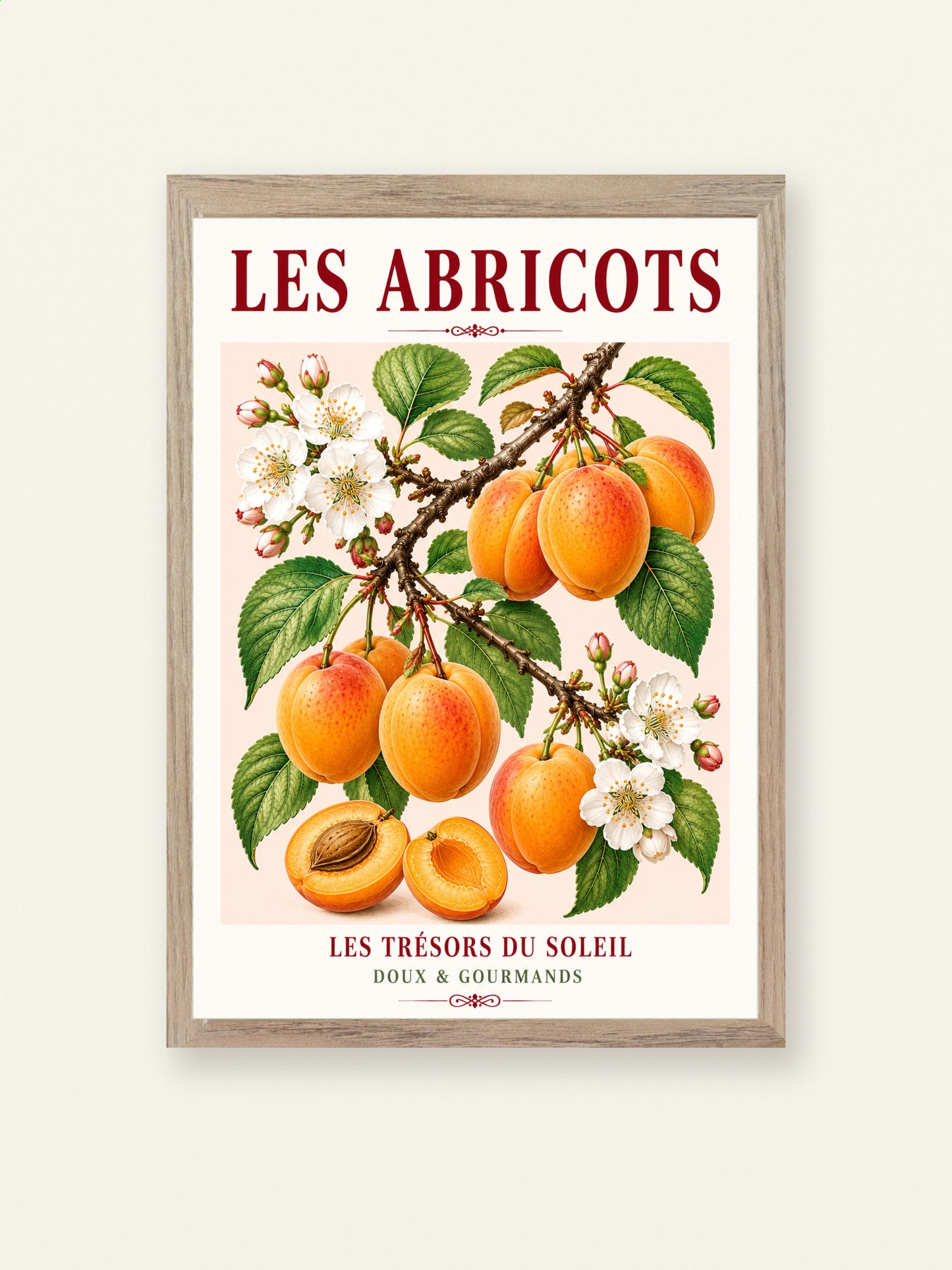 Les Abricots – Illustrated French Apricot Print | French Kitchen Wall Art, Illustrated French, Botanical, French Country, Fruit Illustration, Orchard Inspired, Country Kitchen, Cottage Style, Provence Inspired, Mediterranean Inspired wall artwork.