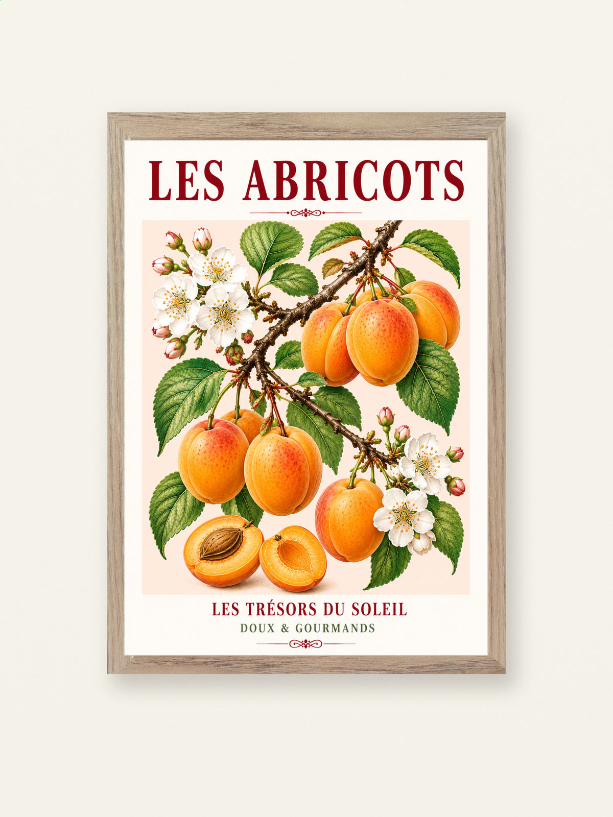 Les Abricots – Illustrated French Apricot Print | French Kitchen Wall Art, Illustrated French, Botanical, French Country, Fruit Illustration, Orchard Inspired, Country Kitchen, Cottage Style, Provence Inspired, Mediterranean Inspired wall artwork.