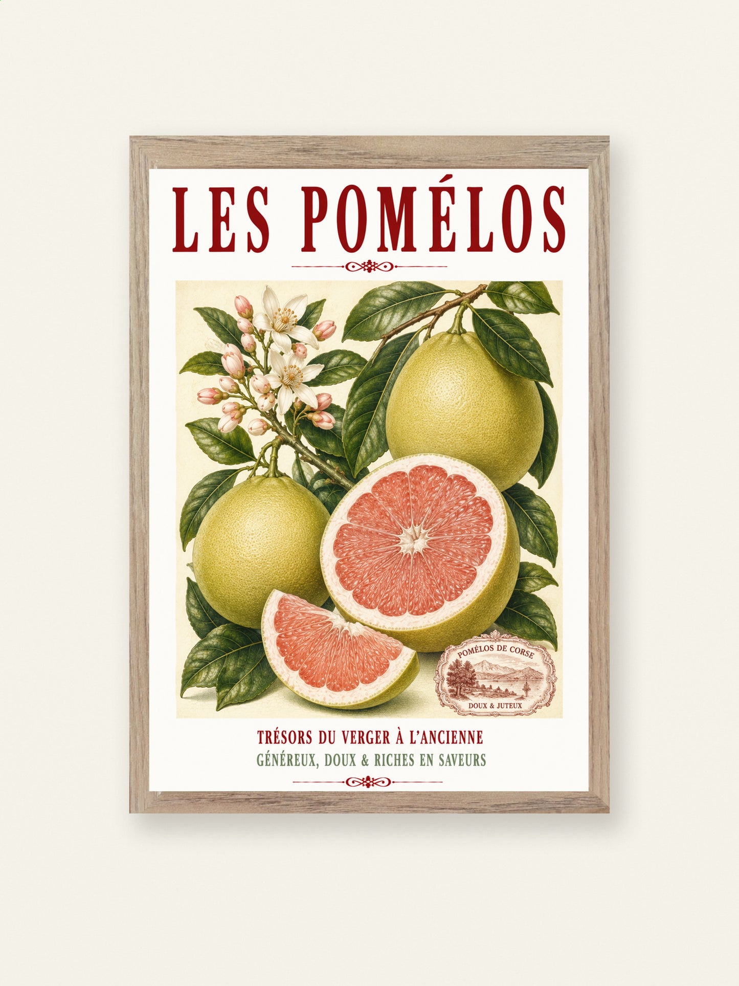 Illustrated French Pomelo Print | French Kitchen Wall Art, Illustrated French, Botanical, French Mediterranean, French Country, Citrus Art, Traditional Botanical Illustration, French Kitchen, Country Kitchen, Mediterranean Style, Pomological Illustration wall artwork.