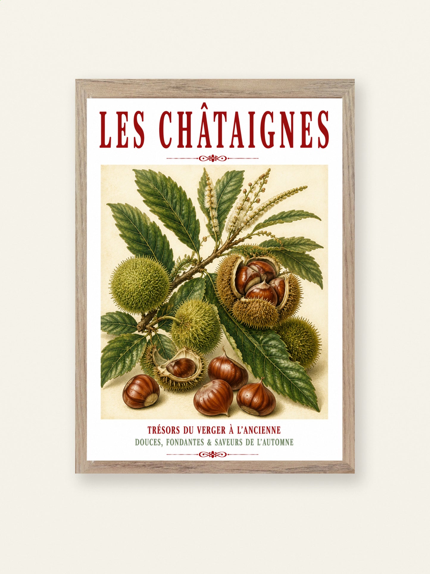 Illustrated French Chestnut Print | French Kitchen Wall Art, Illustrated French, Botanical, French Country, Rustic, Autumnal, Woodland Botanical, Traditional Botanical Illustration, French Kitchen, Country Kitchen, Cottage Style wall artwork.