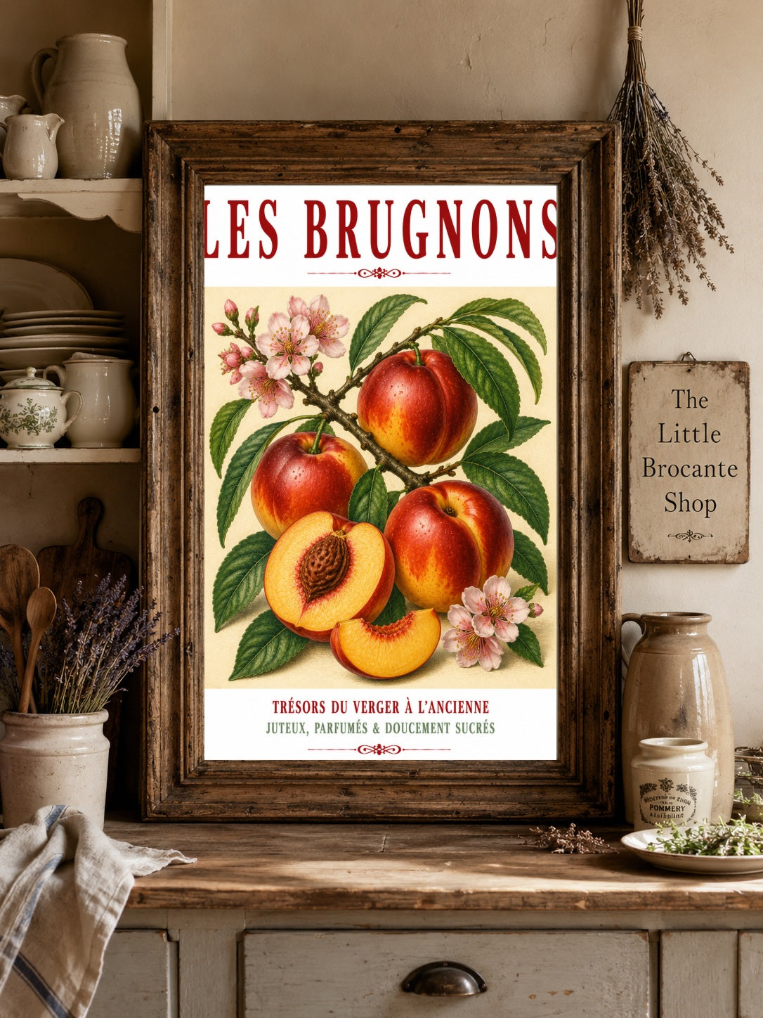 Illustrated French Nectarine Print | French Kitchen Wall Art, Illustrated French, Botanical, French Country, Orchard Style, Traditional Botanical Illustration, French Kitchen, Country Kitchen, Cottage Style, Pomological Art wall artwork.