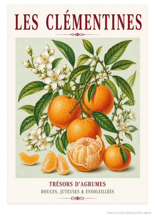 Illustrated French Clementine Print | French Kitchen Wall Art, Illustrated French, Botanical, Mediterranean, French Country, Citrus Illustration, Fruit Illustration, Country Kitchen, French Countryside, Botanical Wall Art wall artwork.