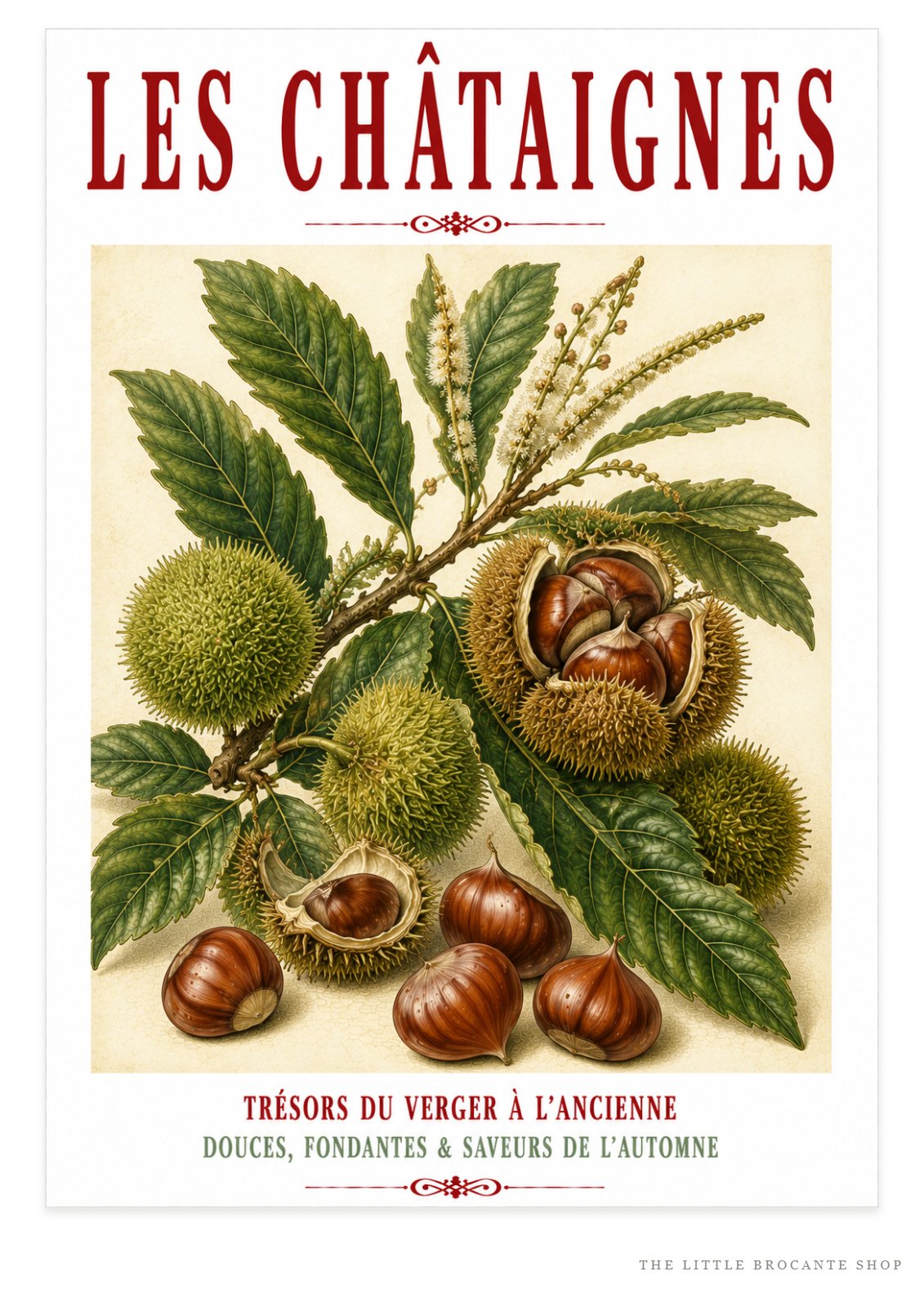Illustrated French Chestnut Print | French Kitchen Wall Art, Illustrated French, Botanical, French Country, Rustic, Autumnal, Woodland Botanical, Traditional Botanical Illustration, French Kitchen, Country Kitchen, Cottage Style wall artwork.