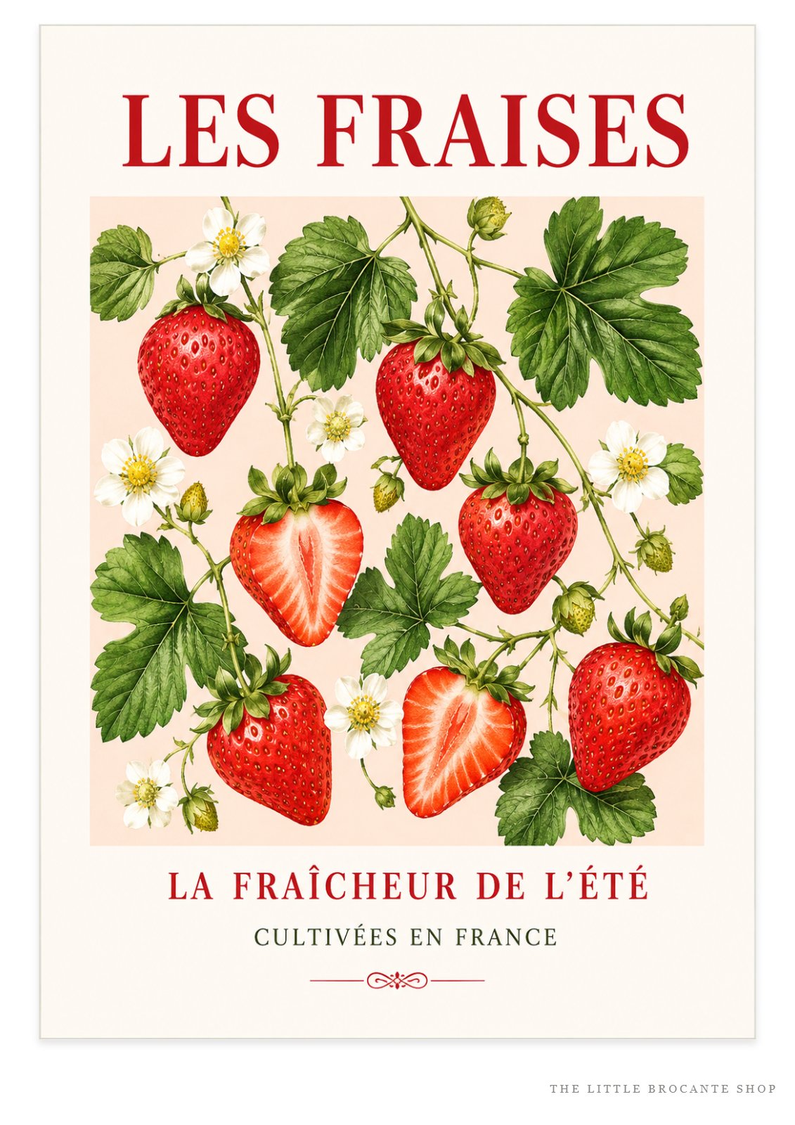 Les Fraises – French Strawberry Illustrated Print | French Fruit & Kitchen Wall Art, French Botanical, Illustrated French, French Country, Country Kitchen, Botanical Illustration, Cottage, European Kitchen, Fruit Art wall artwork.