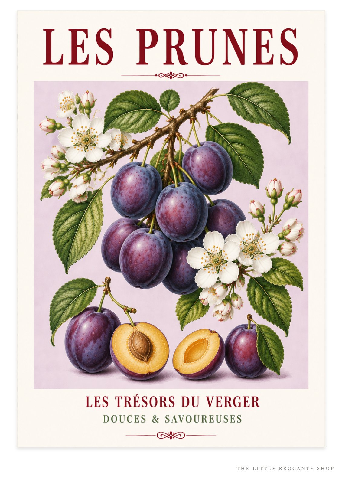 Illustrated French Plum Print - Les Prunes | French Kitchen Wall Art, Illustrated French, Botanical, French Country, Fruit Illustration, Orchard Inspired, Country Kitchen, Cottage Style, French Inspired wall artwork.