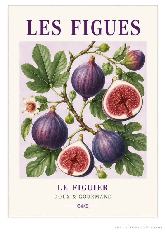 Les Figues – Illustrated French Fig Print | French Kitchen Wall Art, Illustrated French, Botanical, French Country, Mediterranean, Provençal, Fruit Illustration, Country Kitchen, Cottage Style wall artwork.