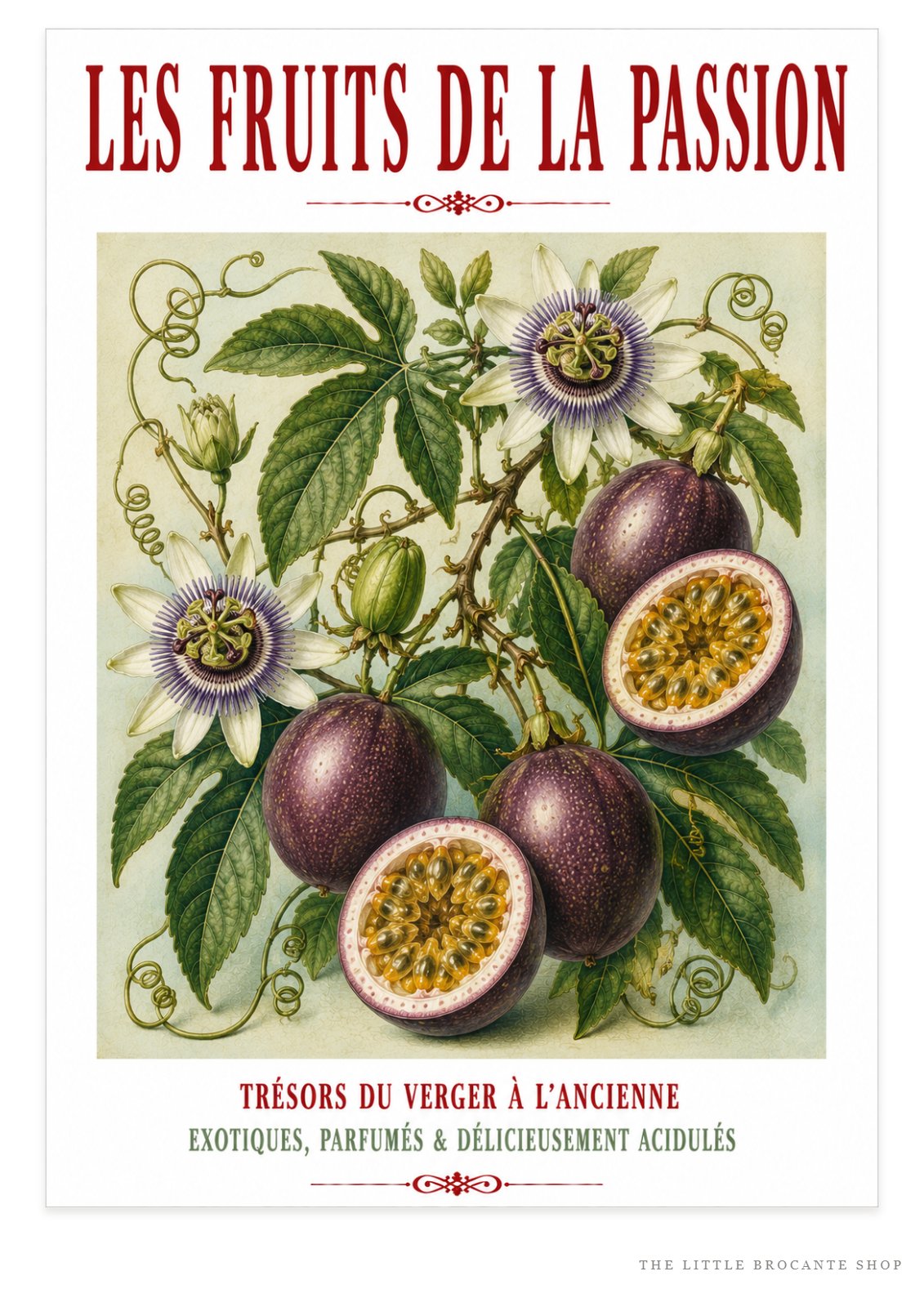 Illustrated French Passion Fruit Print | French Kitchen Wall Art, Illustrated French, Botanical, French Country, Exotic Botanical, French Kitchen, Traditional Botanical Illustration, Country Kitchen, Cottage Style, Botanical Wall Art wall artwork.