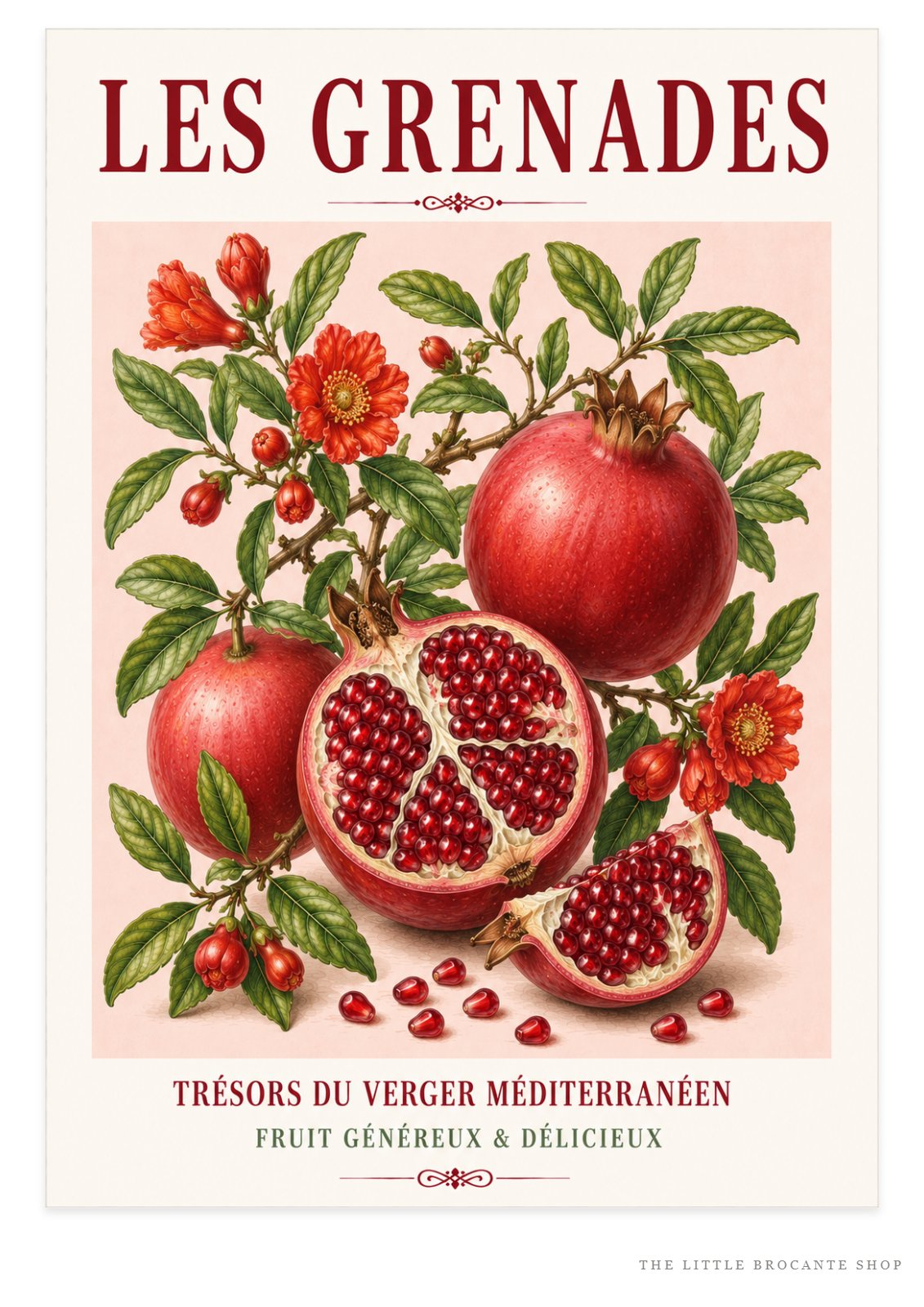 French Pomegranate Illustrated Print | French Kitchen Wall Art, Illustrated French, Botanical, Mediterranean, French Country, Fruit Illustration, Country Kitchen, French Countryside, Botanical Wall Art wall artwork.