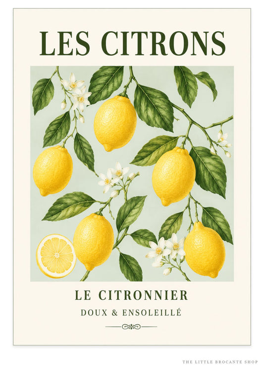 Les Citrons – Illustrated French Lemon Print | French Kitchen Wall Art, Illustrated French, Botanical, French Country, Country Kitchen, Mediterranean, Fruit Illustration, Cottage Style wall artwork.