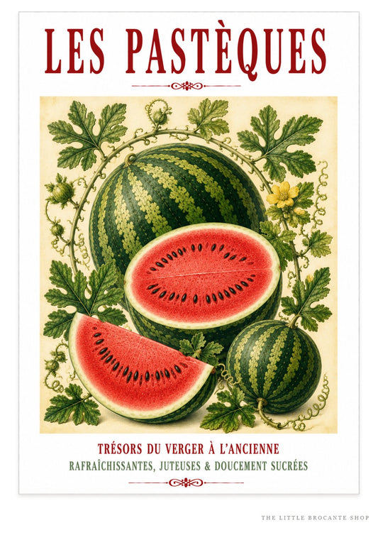 Illustrated French Watermelon Print | French Kitchen Wall Art, Illustrated French, Botanical, French Country, Mediterranean, Fruit Illustration, French Kitchen, Country Kitchen, Cottage Style, Summer Inspired, Botanical Wall Art wall artwork.