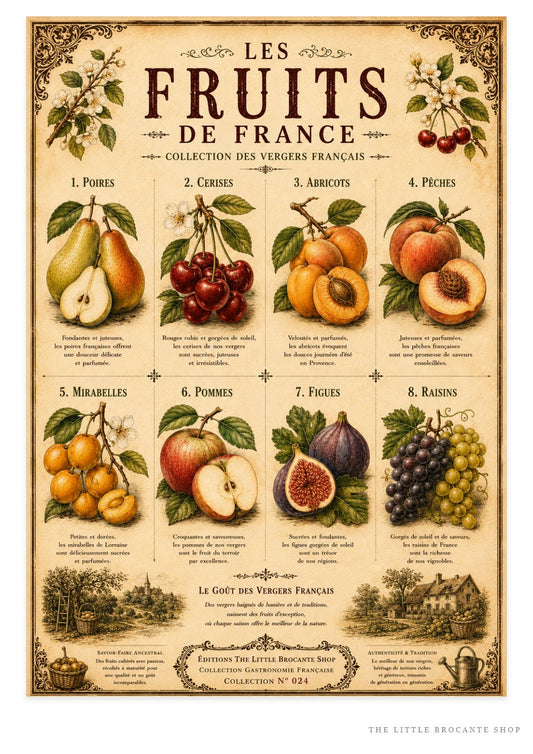 Les Fruits de France | Vintage French Orchard Fruit Collection | French Country Kitchen Wall Art Print, French country wall artwork. – image 1
