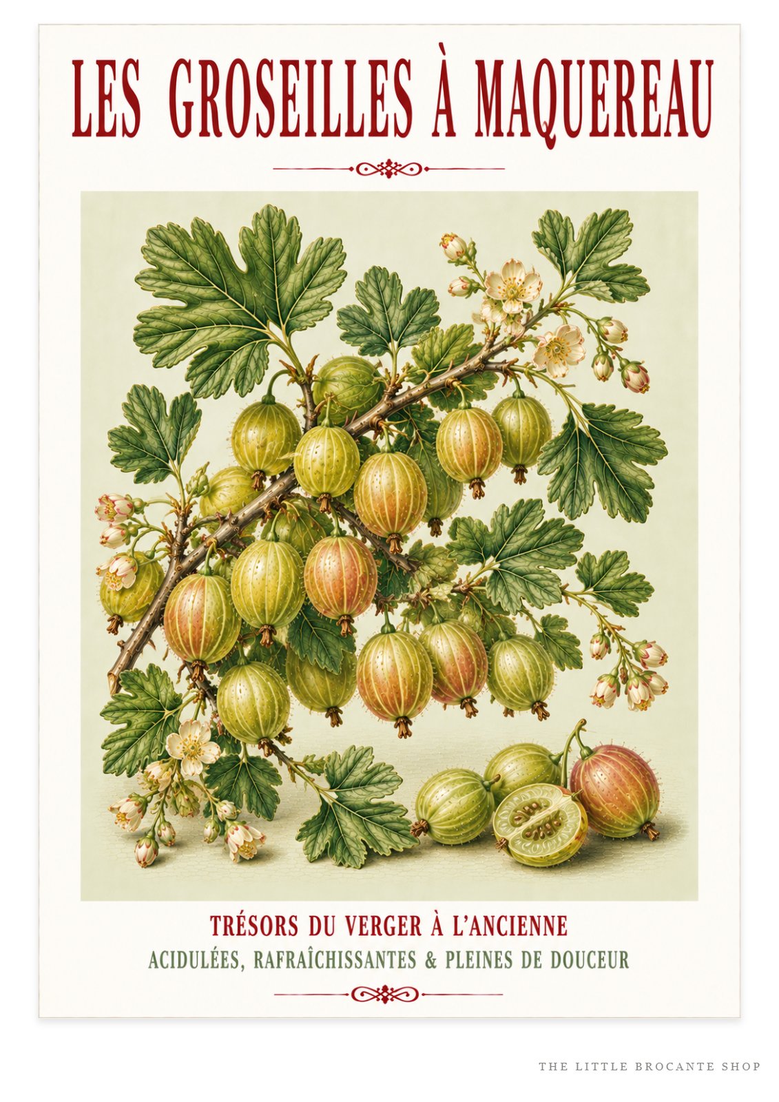Illustrated French Gooseberry Print | French Kitchen Wall Art, Illustrated French, Botanical, French Country, Kitchen Garden, Fruit Illustration, French Kitchen, Country Kitchen, Cottage Garden, Botanical Wall Art wall artwork.